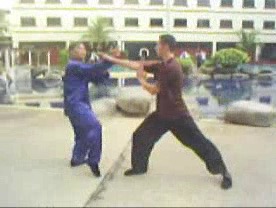 Taijiquan 12 Combat Sequences