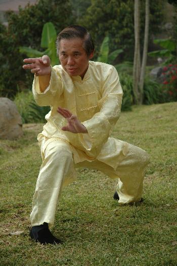 Sifu Wong Shaolin Kung Fu