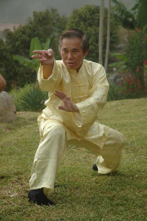 Shaolin Dragon Form