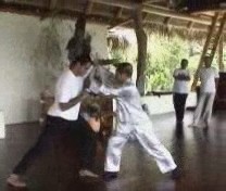 Taijiquan against Boxing