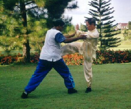 Kungfu Sparring