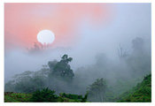 Blue Mountain