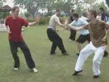Shaolin Kungfu