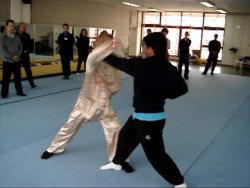 Shaolin Kung Fu