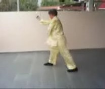 Shaolin Monkey Set