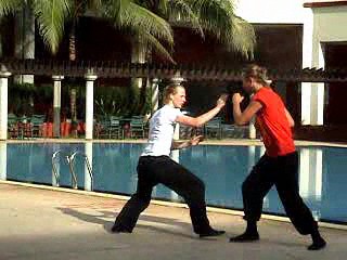 Shaolin Training Programme