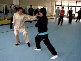 Shaolin Kung Fu Combat Application