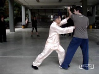Shaolin Kung Fu