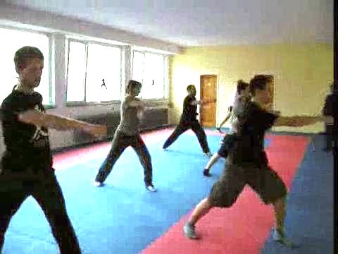 shaolin kungfu