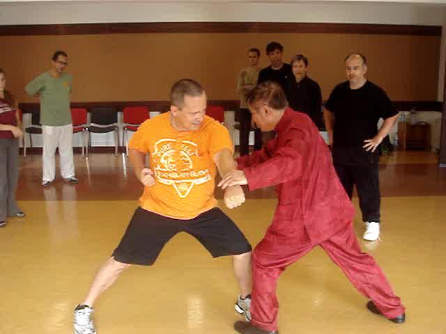 Shaolin Kungfu, Kung Fu