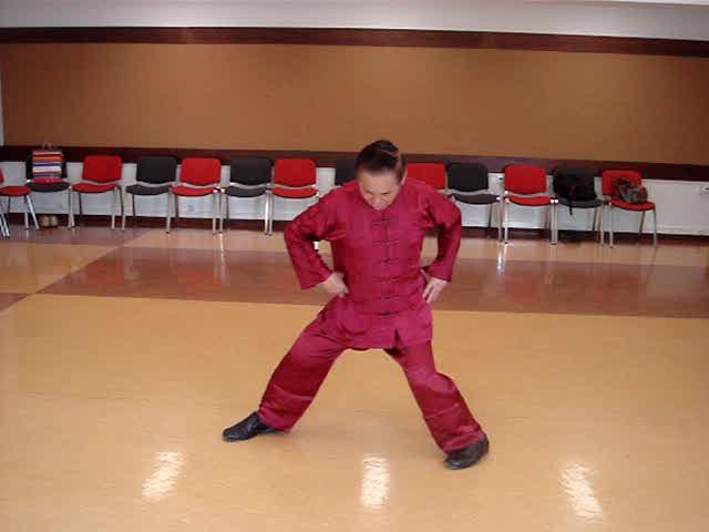 Taijiquan against Other Martial Arts