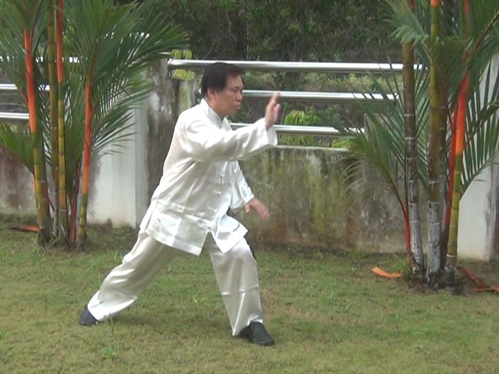 Wing Choon Kungfu