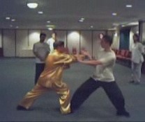 Taijiquan Bidy-Movement