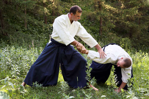 Japanese Jujitsu