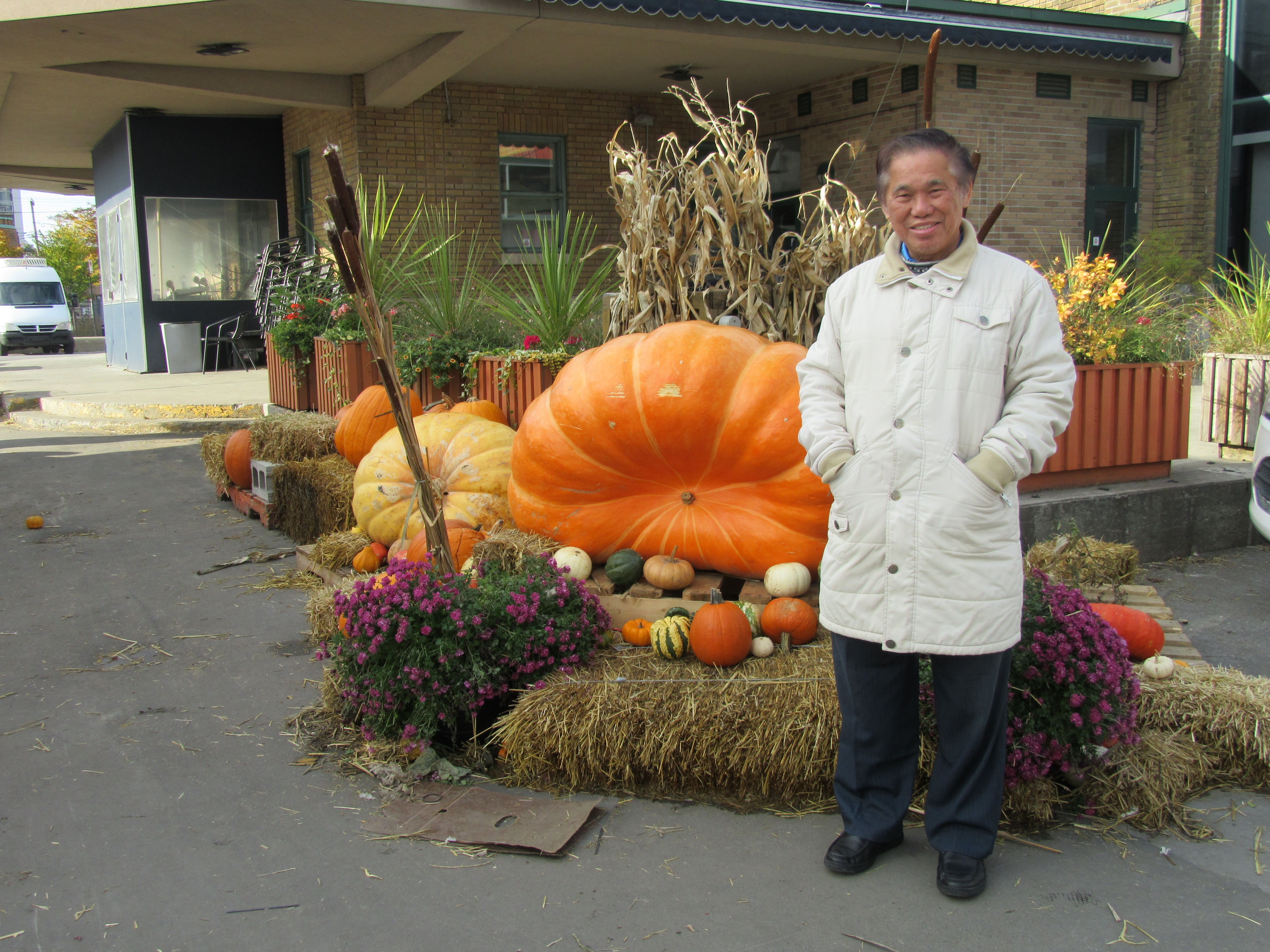 Gigantic pumpkins