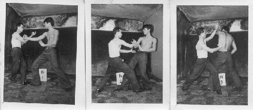 Baguazhang Combat Application