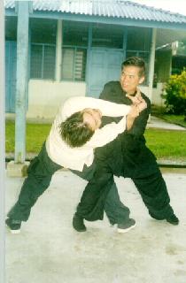 Throwing technique in Wing Choon Kungfu