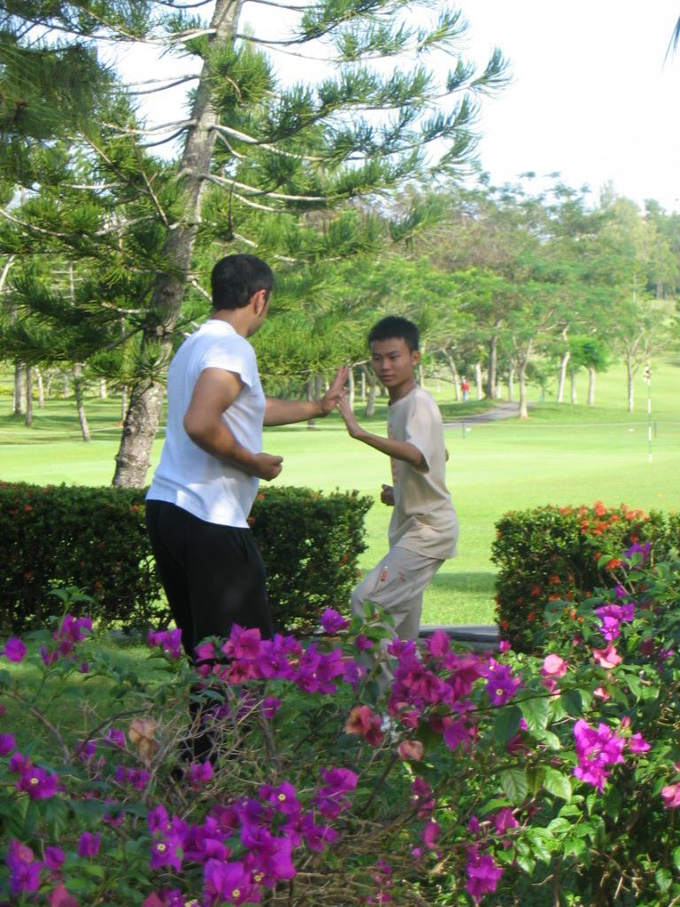 Shaolin Kungfu sparring