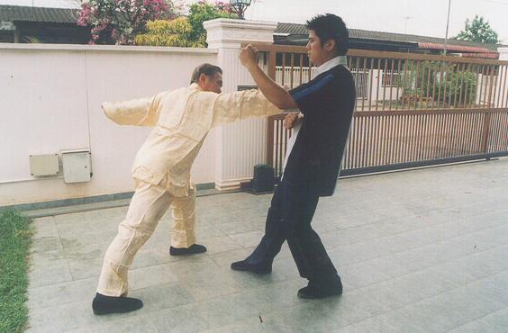 Counters against Chain Punches