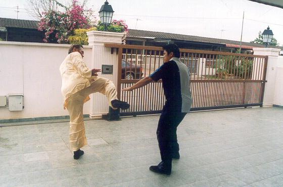 Counters against Chain Punches