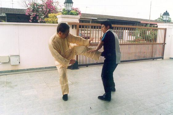 Counters against Chain Punches