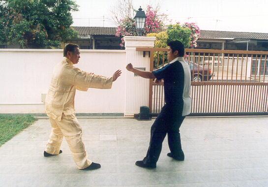 Counters against Chain Punches