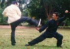 Taijiquan sparring