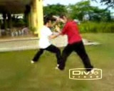 Combat Application of Shaolin Kung Fu
