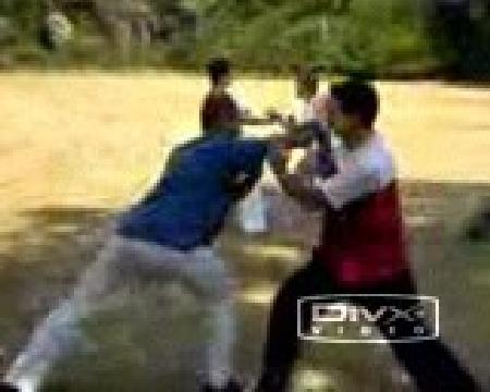 Taijiquan sparring