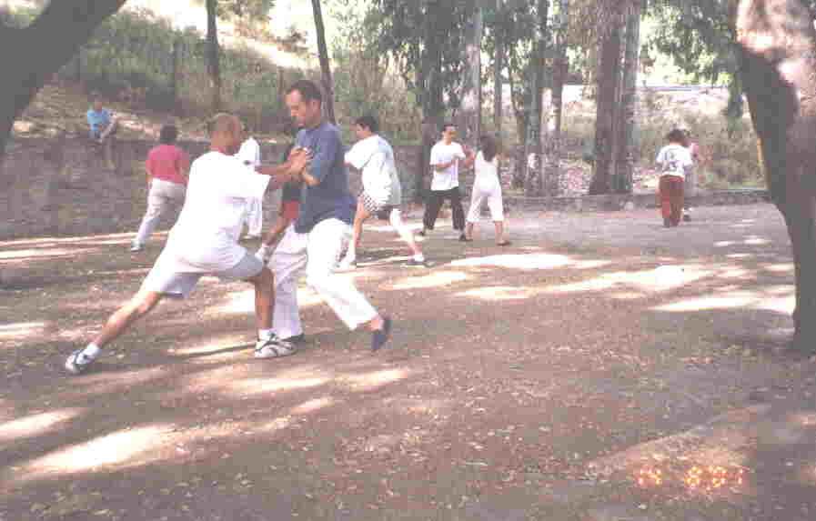 Tai Chi Chuan Combat