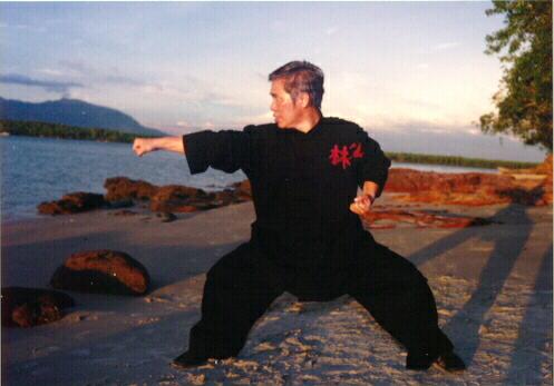 Shaolin punch