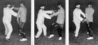 Wing Chun Kungfu