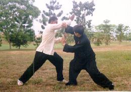 Taijiquan combat