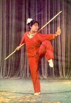 magnificient wushu demonstration