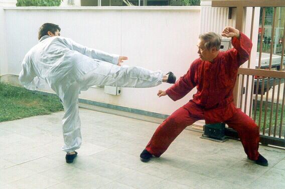 Taijiquan sparring