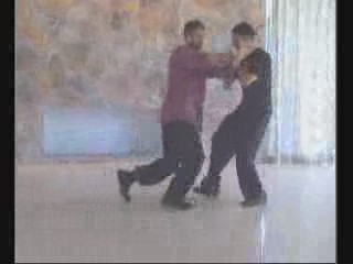 Taijiquan combat sequences