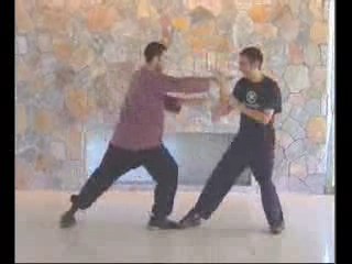 Taijiquan combat sequences