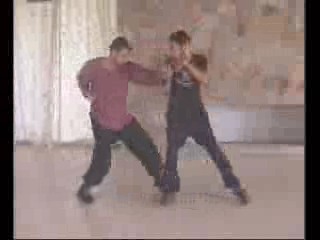 Taijiquan combat sequences