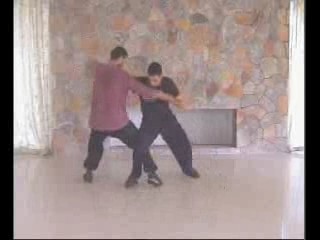 Taijiquan combat sequences