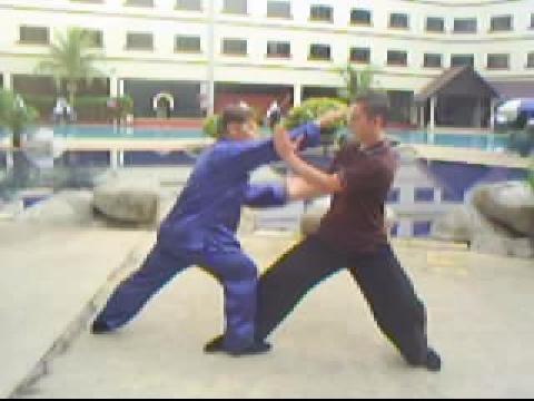 Wahnam Taijiquan