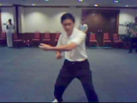 Wahnam Taijiquan