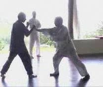 Taijiquan Tai Chi Chuan combat