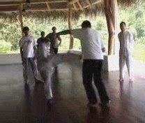 Taijiquan Tai Chi Chuan combat