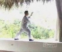 Basic Wahnam Taijiquan Training