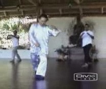 Basic Wahnam Taijiquan Training