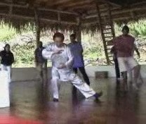 Basic Wahnam Taijiquan Training