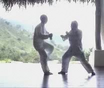 Taijiquan Tai Chi Chuan combat