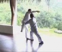 ”Taijiquan