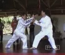 Taijiquan Combat