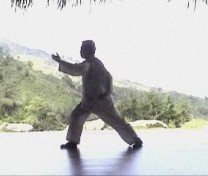 Basic Wahnam Taijiquan Training